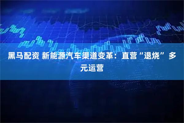 黑马配资 新能源汽车渠道变革：直营“退烧” 多元运营